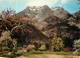 CPM Couleurs Et Lumliere De France La Corse Oasis De Beaute Vizdzzavona La Monte D'Ore (2391 M) - Corse