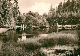 Olbernhau Erzgebirge Pulvermuehlenteich - Olbernhau