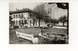 VIRIVILLE Le Jardin Public Et La Mairie (carte Photo) - Viriville