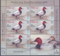 2025. Kyrgyzstan, Bird Of The Year, Common Pochard, Sheetlet,  Mint/** - Kirghizistan