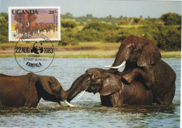 (alm)  UGANDA OUGANDA CARTE MAXIMUM ELEPHANT - Ouganda (1962-...)
