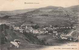 Plainfaing Vue Generale - Plainfaing