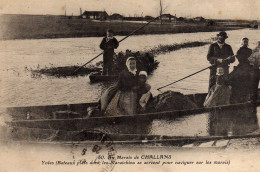 Challans Au Marais Yoles - Challans