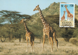 (alm)  KENYA CARTE MAXIMUM GIRAFE - Kenya (1963-...)