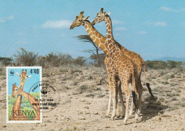 (alm)  KENYA CARTE MAXIMUM GIRAFE - Kenya (1963-...)
