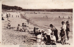- Sur Les Bords Du Courant  - ( C419 ) - Mimizan Plage