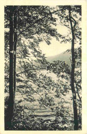 38 - Laffrey - Le Lac De Laffrey - CPA - Voir Scans Recto-Verso - Laffrey