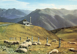 31 SUPERBAGNERES VUE SUR LA NOUVELLE EGLISE ET LA CHAINE DES - Superbagneres