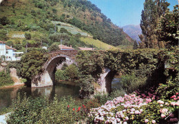 64 BIDARRAY LE VIEUX PONT - Bidarray