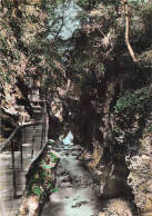 73 GRESY SUR AIX LES GORGES DU SIERROZ - Gresy Sur Aix