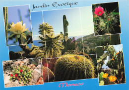 98 MONACO JARDIN EXOTIQUE - Exotic Garden