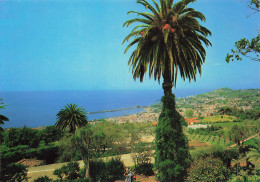 MADERE FUNCHAL JARDIN BOTANIQUE - Madeira