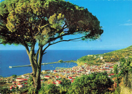 PORTUGAL MADEIRA VUE OCCIDENTALE DE FUNCHAL - Madeira