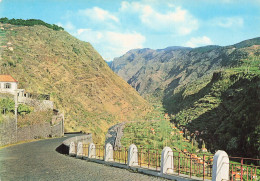 PORTUGAL MADEIRA VALE DE RIBEIRA BRAVA - Madeira