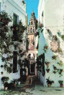 ESPAGNE CORDOBA CALLE DE LAS FLORES - Córdoba