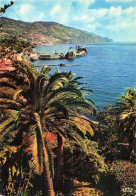 MADERE FUNCHAL VUE ORIENTALE - Madeira