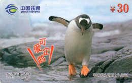 CHINA - CHIP CARD - CHINA TIETONG - CTT-FUJIAN-2006-3(2-1) - ANIMAL - PENGUIN - China