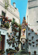 ESPAGNE CORDOBA CALLEJA Y PLAZA DE LOS FLORES - Córdoba