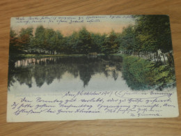 Alte AK - Iserlohn , 1907 , Partie Im Stadtpark , Ansichtskarte !! - Iserlohn