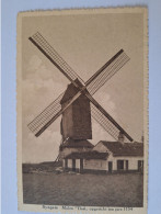 ZINGEM MOLEN  MOOI   GEANIMEERD  PRACHTIG  ZICHT TOP - Zingem