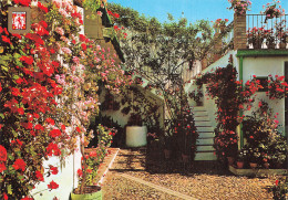 ESPAGNE CORDOBA CALLE MONTERO - Córdoba