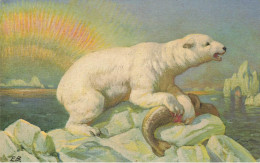 Ours Blanc * CPA Illustrateur E.B. * Art Nouveau Jugendstil * Ours Blanc Chasse Hunt Hunting Bear - Bears