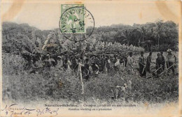 CPA Nouvelles Hébrides Océanie > Vanuatu Circulée - Vanuatu