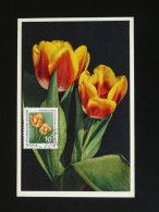 Carte Maximum Card Fleur Tulipe Flower DDR 1961 - Maximumkarten (MC)