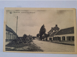 WATERVLIET MOLENSTRAAT  GEANIMEERD   PRACHTIG  ZICHT  RAAR (j) - Sint-Laureins