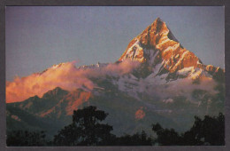 115743/ POKHARA, Peak Of Machapuchre - Nepal