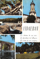 83-VIDAUBAN-N°TB3583-A/0261 - Vidauban