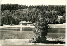Le Lac GENIN édition Michaux  UU1513 - Oyonnax