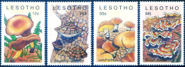 Flora. Funghi 1989. - Lesotho (1966-...)