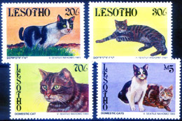 Fauna. Gatti 1993. - Lesotho (1966-...)