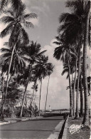 Guinee Conakry Corniche Et Le Phare De Boulbinet ( Scan Recto Verso)NONO0005 - Guinea