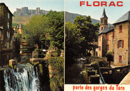 48-FLORAC-N°TB3593-B/0215 - Florac