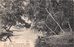 Guinee Sous Bois Environs De Dubreka (scan Recto Verso ) Nono0037 - Guinea