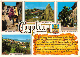 83-COGOLIN-N°TB3599-A/0079 - Cogolin