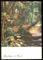 La Foret Vierge édition Libraport CONAKRY VV 1648 - Guinea