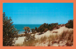 A663 / 015 Indiana Dunes State Park Chesterton - Altri & Non Classificati