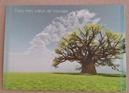 Baobab - Bäume