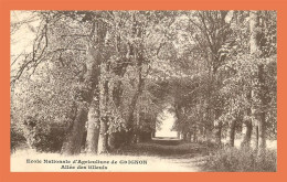 A717 / 105 78 - GRIGNON Ecole Nationale D'Agriculture Allee Des Tilleuls - Grignon