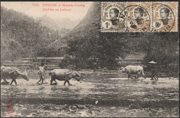 ✉ 1910, Tonkin - Indochina, Picture Postcard, Franked (on View Side) With (1x) 1c And Horizontal Pair Of 2c (Y&T 41 And  - Altri & Non Classificati