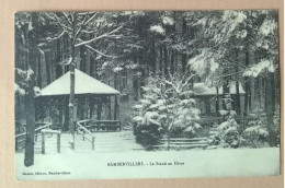88 - RAMBERVILLERS - LE STAND EN HIVER - Rambervillers