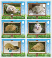 Alderney - Postfris / MNH - Complete Set Hedgehog 2025 - Alderney