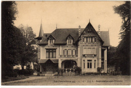 Ingrandes Sur Vienne Les Fouinieres - Ingrandes