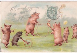 LES COCHONS ET LES JEUX - Varkens