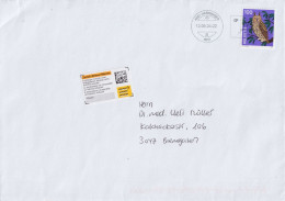 Brief  Bern - Härkingen - Bremgarten B.Bern  (Retour)        2024 - Briefe U. Dokumente