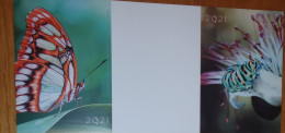 Petit Calendrier Poche  2021 Insecte Papillon - 3 Volets - Formato Piccolo : 2001-...
