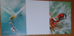 Petit Calendrier Poche  2021 Insecte Coccinelle Libellule - Formato Piccolo : 2001-...